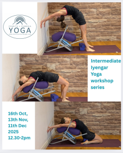 The Intermediate Iyengar Yoga Workshop Series continues on 13th November from 12:30-2:30 AM.